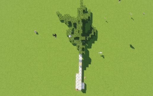Fallen birch tree schematic - building