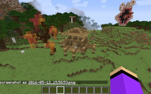 Basic Survival House schematic - building