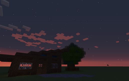 small survival house