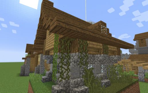 Swamp House