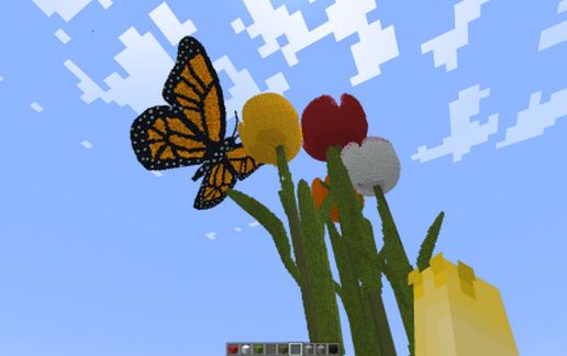 Butterfly and tulip / papillon sur tulipe