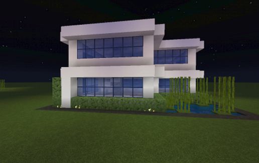 20x20 Modern Home
