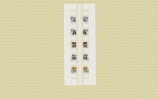 Mini luxurious home (13x5)