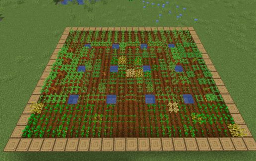 Leniland NewWorld Field 21x17 schematic - building