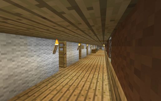 AxiumSA Luxury Liner