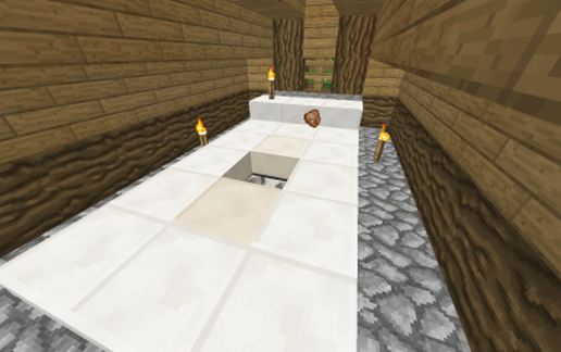 Chicken farm